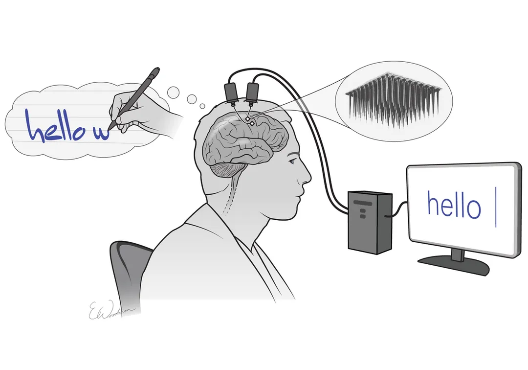 Brain Decoding and BCI